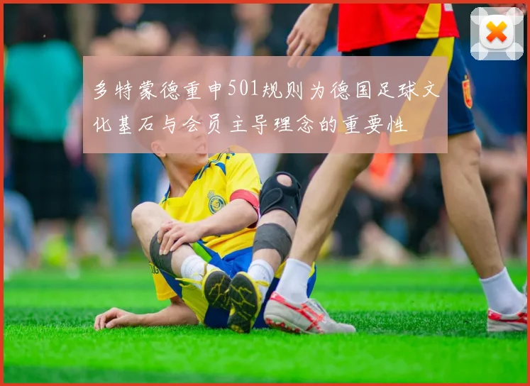 多特蒙德重申501规则为德国足球文化基石与会员主导理念的重要性